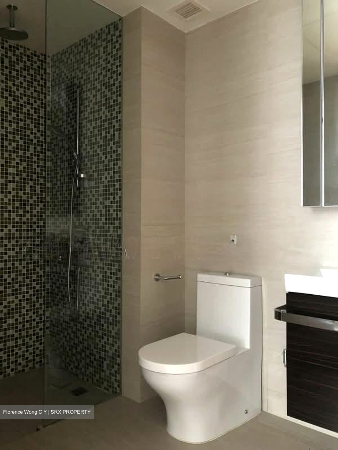 Sant Ritz (D13), Condominium #582230221
